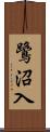 鷺沼入 Scroll