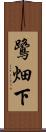 鷺畑下 Scroll