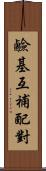 鹼基互補配對 Scroll