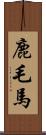 鹿毛馬 Scroll