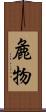麁物 Scroll