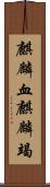 麒麟血 Scroll