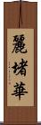 麗堵華 Scroll