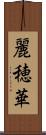 麗穂華 Scroll