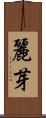 麗芽 Scroll