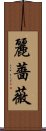 麗薔薇 Scroll