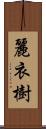 麗衣樹 Scroll