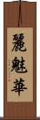 麗魅華 Scroll