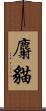 麝貓 Scroll
