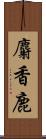 麝香鹿 Scroll