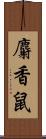 麝香鼠 Scroll