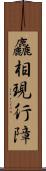 麤相現行障 Scroll