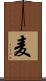 麦 Scroll
