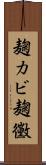 麹カビ Scroll