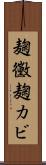 麹黴 Scroll