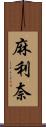 麻利奈 Scroll