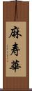 麻寿華 Scroll