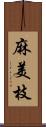 麻美枝 Scroll