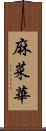 麻菜華 Scroll