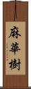 麻華樹 Scroll