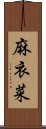 麻衣菜 Scroll