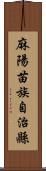 麻陽苗族自治縣 Scroll