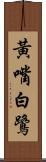 黃嘴白鷺 Scroll