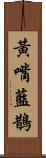 黃嘴藍鵲 Scroll