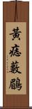 黃痣藪鶥 Scroll