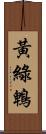 黃綠鵯 Scroll