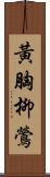 黃胸柳鶯 Scroll