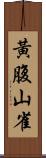 黃腹山雀 Scroll