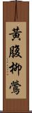 黃腹柳鶯 Scroll