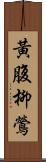 黃腹柳鶯 Scroll