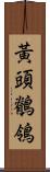 黃頭鶺鴒 Scroll