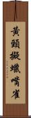 黃頸擬蠟嘴雀 Scroll