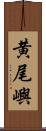 黄尾嶼 Scroll