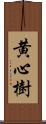 黄心樹 Scroll