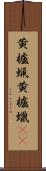 黄櫨蝋 Scroll