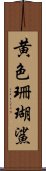 黄色珊瑚鯊 Scroll