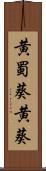 黄蜀葵 Scroll