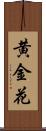 黄金花 Scroll