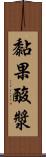 黏果酸漿 Scroll