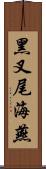 黑叉尾海燕 Scroll