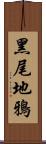 黑尾地鴉 Scroll