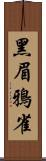 黑眉鴉雀 Scroll