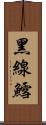 黑線鱈 Scroll