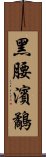 黑腰濱鷸 Scroll