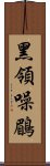 黑領噪鶥 Scroll