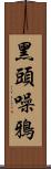 黑頭噪鴉 Scroll